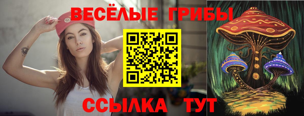 Кисловодск  Псилоцибиновые грибы MAGIC MUSHROOMS  Вход с VPN 