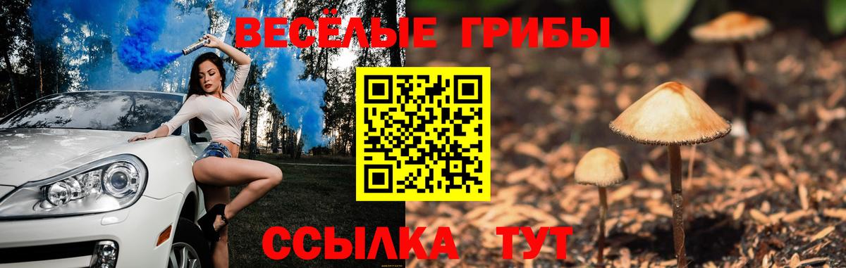 Галлюциногенные грибы GOLDEN TEACHER Кисловодск